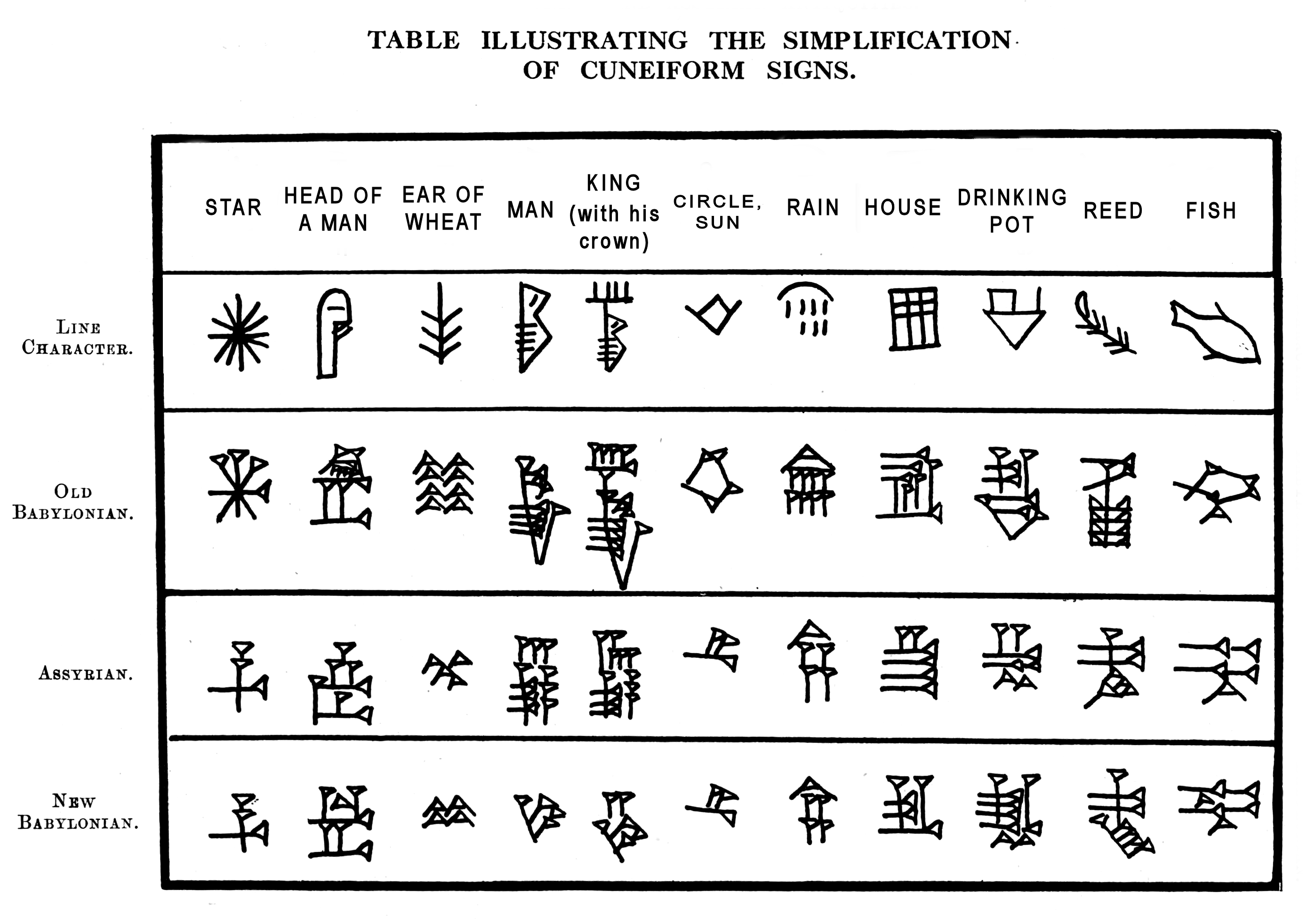 Chart comparing cuneiform logograms in the Line Character, Old Babylonian, Assyrian, and New Babylonian scripts. The words compared are star, head of a man, ear of wheat, man, king (with his crown), circle/sun, rain, house, drinking pot, reed, and fish.